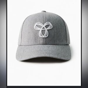 Aritzia grey baseball cap